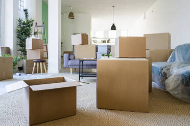 Wohnzimmer voller Kartons in neuer Loftwohnung - GIOF10333