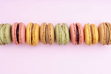 Studio shot of colorful macaroon cookies - GEMF04507