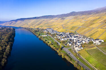 Deutschland, Rheinland-Pfalz, Bernkastel-Kues, Blick aus dem Hubschrauber auf die Weinberge am Flussufer der Stadt im Herbst - AMF08898