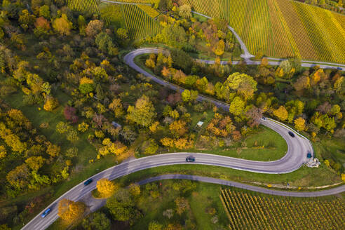 Luftaufnahme einer sich zwischen herbstlichen Weinbergen windenden Landstraße, Baden-Württemberg, Deutschland - WDF06444