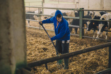 Young farmer wearing hood spreading straws in farm - ACPF00979
