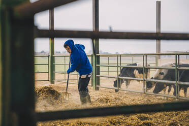 Junger Landwirt beim Verteilen von Stroh in der Scheune - ACPF00980