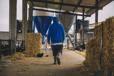 Männlicher Landwirt mit blauer Kapuze geht in einen Stall - ACPF00981