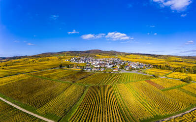 Deutschland, Hessen, Oestrich-Winkel, Blick aus dem Hubschrauber auf eine Stadt auf dem Land, umgeben von gelben Weinbergen im Herbst - AMF08902