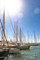 Spanien, Mallorca, Palma de Mallorca, Sonne scheint über Segelboote im Hafen - EGBF00563