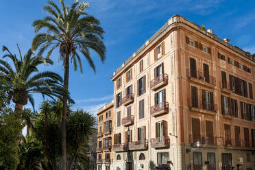 Spanien, Mallorca, Palma de Mallorca, Palmen vor einem städtischen Wohnhaus - EGBF00565