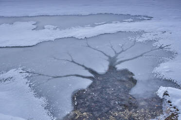 Spiegelung eines kahlen Baumes auf dem Wasser inmitten eines schneebedeckten Landes - MRF02405