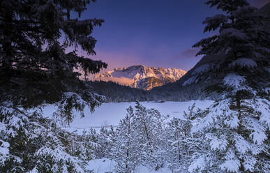 Mit Schnee bedeckte Bäume und Berge bei Sonnenuntergang - MRF02408