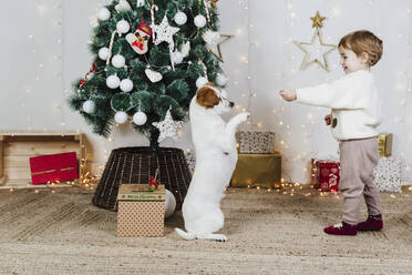 Baby-Mädchen spielt mit Welpe zu Hause während Weihnachten - EBBF01957