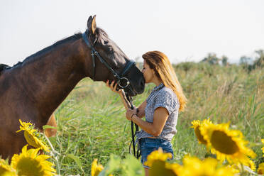Schöne Frau küsst ihr Pferd in einem Sonnenblumenfeld an einem sonnigen Nachmittag - ADSF19646