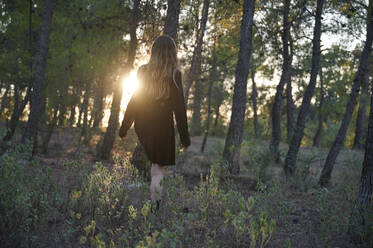 Back view of attractive long haired female in warm coat looking away while standing on meadow with dry grass in sunny autumn forest - ADSF19715