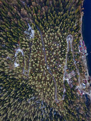 Luftaufnahme einer Landstraße, die sich durch den Wald am Seeufer schlängelt - KNTF06104