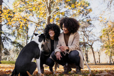 Junge Freunde lächelnd beim Spielen mit Hund im Park - MRRF00763