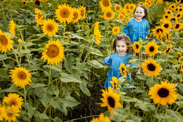 Two little sisters running together in sunflower field - AWAF00019