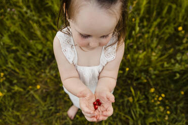 Cute baby girl holding bunch of freshly picked strawberries - AWAF00020