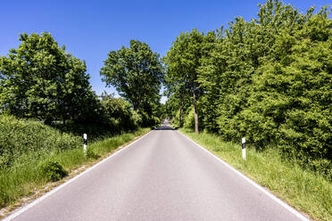 Deutschland, Mecklenburg-Vorpommern, Leere Asphaltstraße durch das Biosphärenreservat Schaalsee im Sommer - EGBF00590