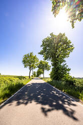 Deutschland, Mecklenburg-Vorpommern, Sonne scheint über leere Asphaltstraße durch das Biosphärenreservat Schaalsee im Sommer - EGBF00593