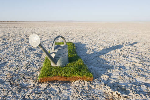 Watering can on grass turf patch on salt flat. - MINF15508