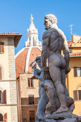 Statue des Neptun, Piazza Della Signora, Florenz, Italien - MINF15523
