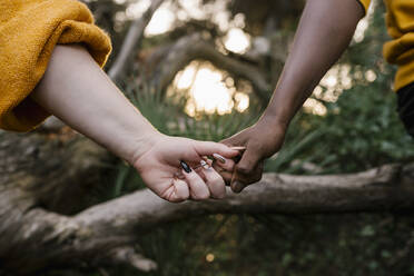 Nahaufnahme einer Frau, die die Hand eines Mannes im Wald hält - EGAF01361