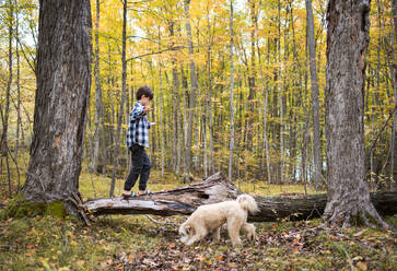 Kleiner Junge klettert mit seinem Hund an einem Herbsttag auf einen umgestürzten Baum im Wald. - CAVF91458