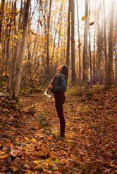 Frau, die an einem Herbsttag im Wald steht und zu den Bäumen hinaufschaut. - CAVF91462