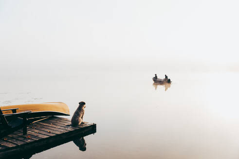 Zwei Personen in einem Fischerboot im Nebel mit einem Hund, der vom Steg aus zusieht. - CAVF91464