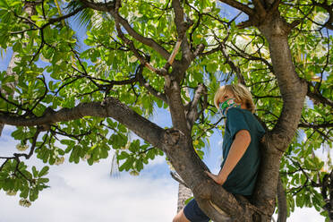 Tween Boy sits alone in a tree in Hawaii while wearing a colorful mask - CAVF91471