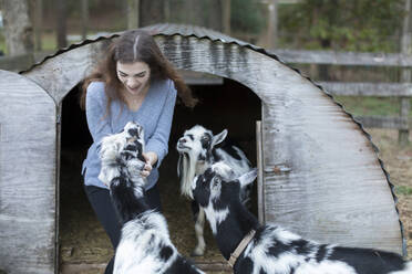 Lachendes Teenager-Mädchen beim Streicheln von Ziegen auf einem Bauernhof - CAVF91491