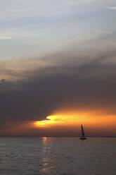 Silhouette eines Segelboots auf dem Bodensee bei stimmungsvollem Sonnenuntergang - JTF01772