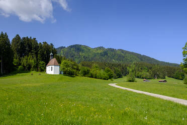 Grüne Almwiese mit Pestkapelle im Hintergrund - LBF03291