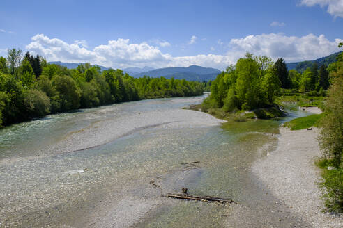 Isar im Frühling - LBF03293