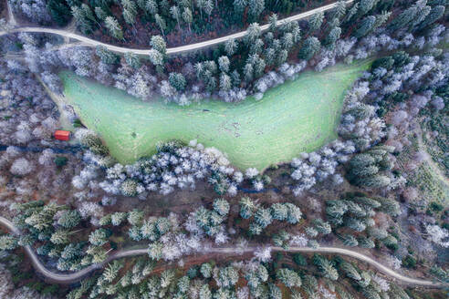 Germany, Baden-Wurttemberg, Drone view of small glade in Swabian Forest at winter dawn - STSF02755