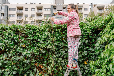 Frau mit Schere beim Beschneiden von grünem Efeu in einem Garten. Horizontales Foto - CAVF91570