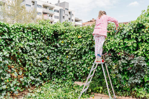 Frau mit Schere beim Beschneiden von grünem Efeu in einem Garten. Horizontales Foto - CAVF91572
