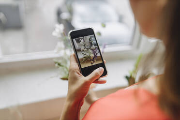 Frau fotografiert Blumen auf der Fensterbank - GUSF04959