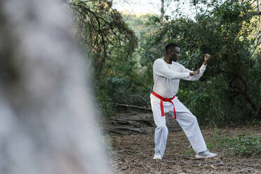Erwachsener Mann übt Kampfsport im Wald - EGAF01419