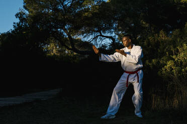 Adult man practicing martial arts in forest at dusk - EGAF01428