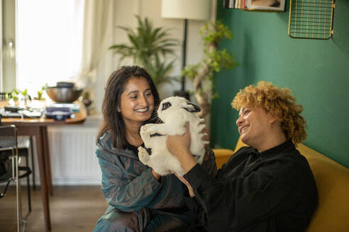 Lesbian couple sitting together on sofa with pet rabbit - AXHF00060