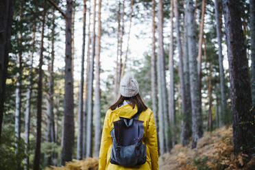 Woman in yellow raincoat walking in forest in Autumn - EBBF02108