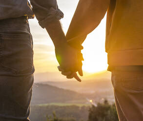 Rückenansicht des anonymen schwulen Paares, das sich an den Händen hält, während es auf einem Hügel steht und den Sonnenuntergang an einem romantischen Sommerabend auf dem Lande bewundert - ADSF19721