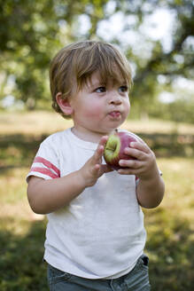 Baby boy eating apple in park - ISPF00009