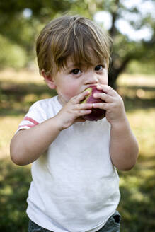 Baby boy eating apple in park - ISPF00010