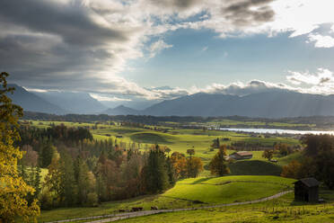 Hügel und Bäume im Herbst mit Bergen im Hintergrund - LBF03301