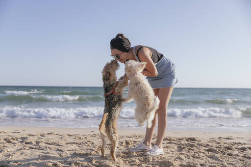 Frau spielt mit ihren Hunden am Strand - JRVF00096