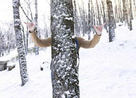 Man gesturing shaka sign while hiding behind birch trees during winter - JCCMF00832