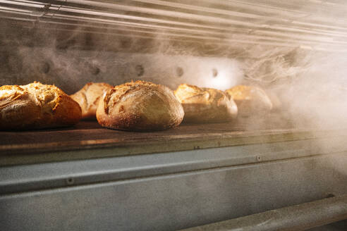 Brote im Ofen in der Bäckerei - JCMF01822