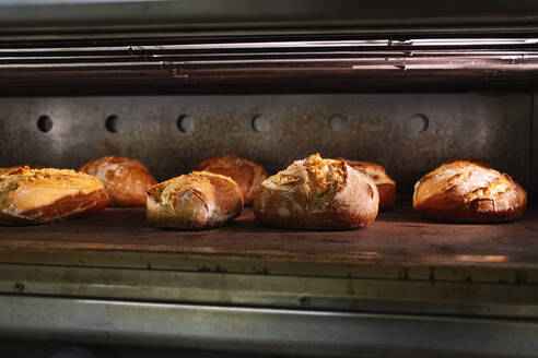 Fresh baked breads in oven at commercial kitchen - JCMF01823