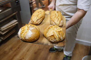 Männlicher Koch hält gebackenes Brot auf einer Pizzaschaufel in einer Großküche einer Bäckerei - JCMF01827