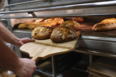 Männlicher Koch mit Pizzaschieber, der in einer Bäckerei das Brot aus dem Ofen nimmt - JCMF01832